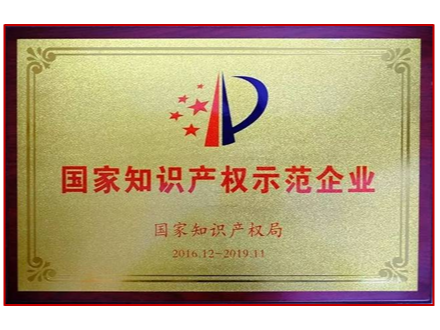 國家知識產權示范企業
