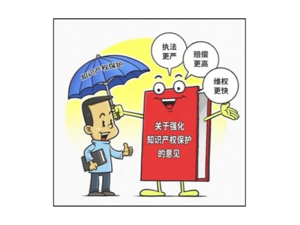 《意見(jiàn)》三大看點(diǎn)——執(zhí)法更嚴(yán)、賠償更高、維權(quán)更快