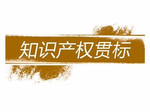 從知識(shí)產(chǎn)權(quán)貫標(biāo)視角看初創(chuàng)科技企業(yè)知識(shí)產(chǎn)權(quán)風(fēng)險(xiǎn)防范